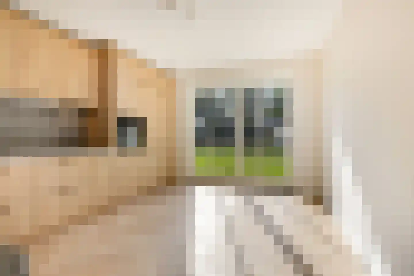 Waterput 2 Wehl thumbnail 26