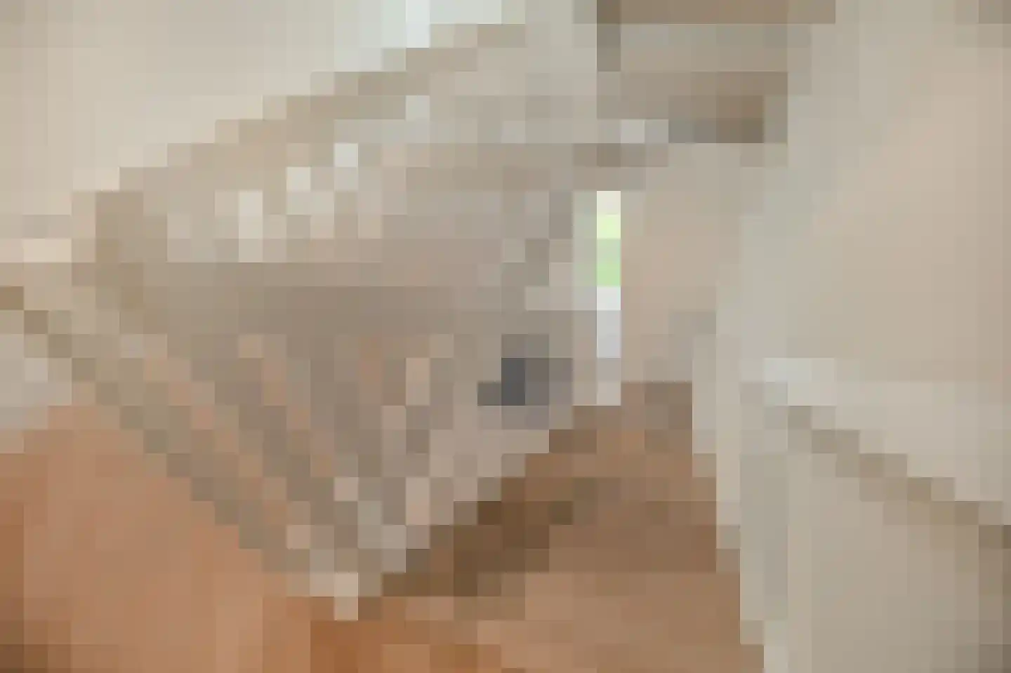 Waterput 2 Wehl thumbnail 36