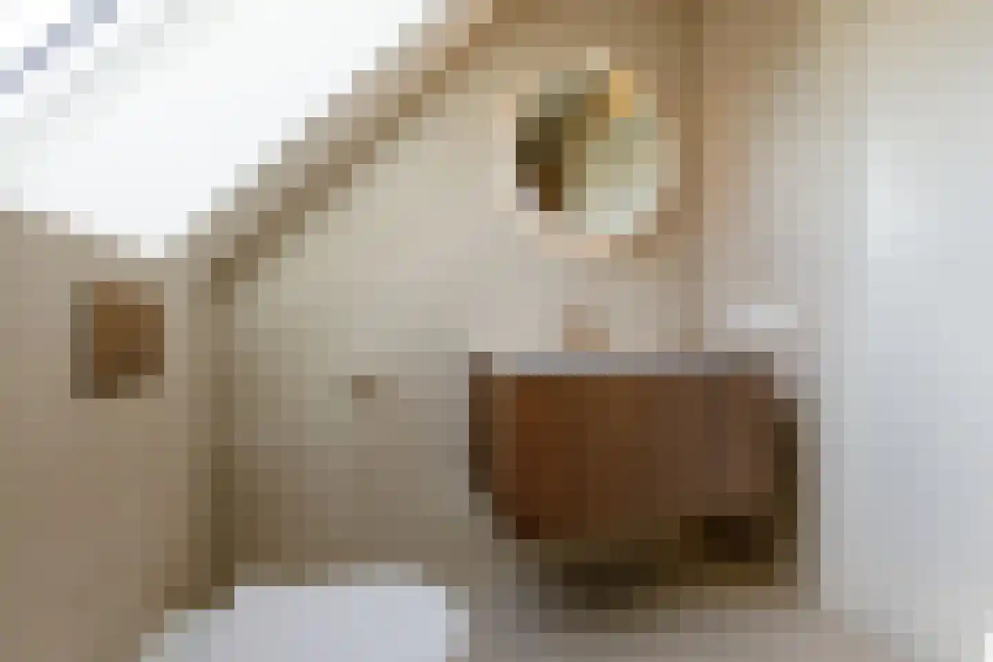 Waterput 2 Wehl thumbnail 57