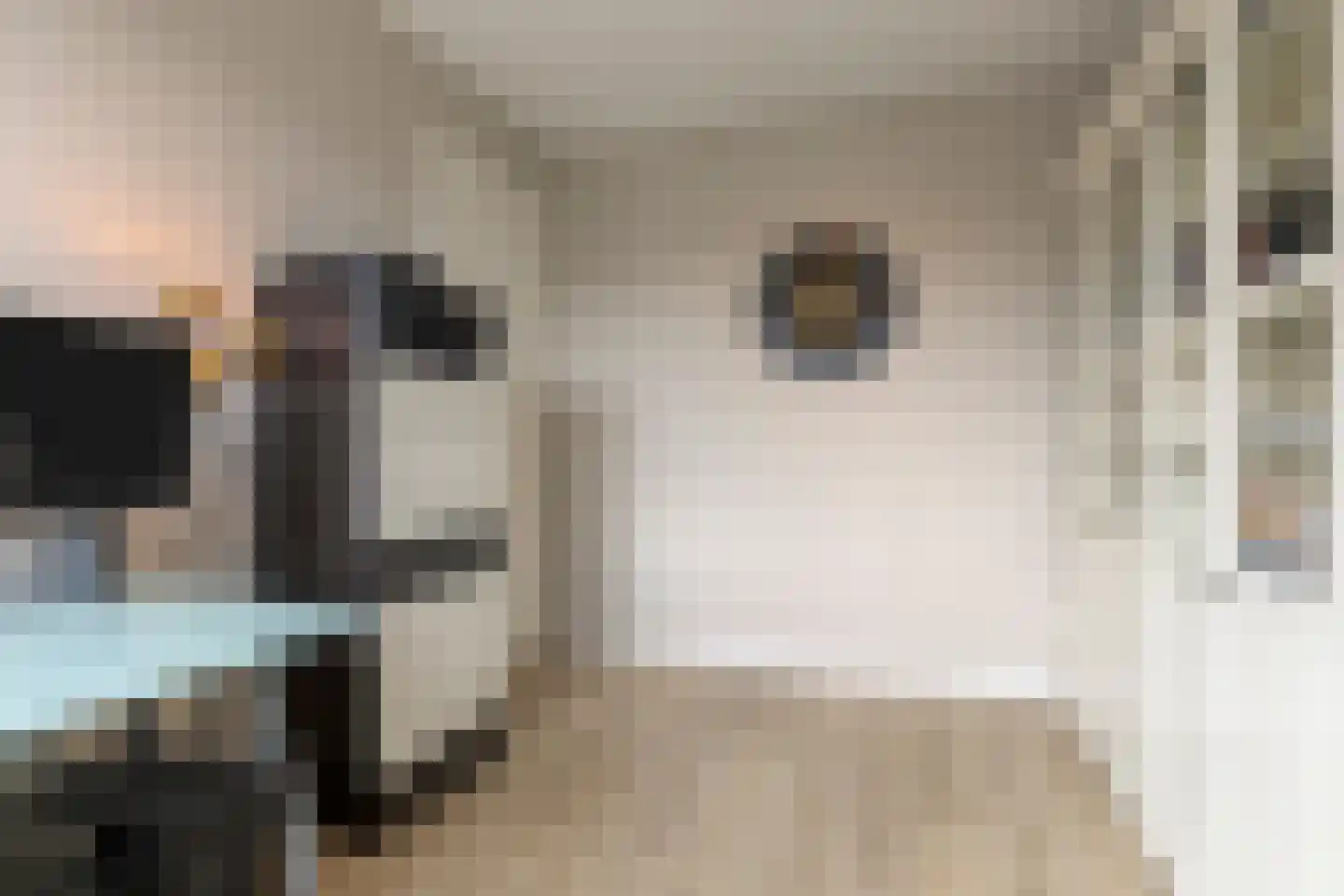 Waterput 27 Cuijk thumbnail 20
