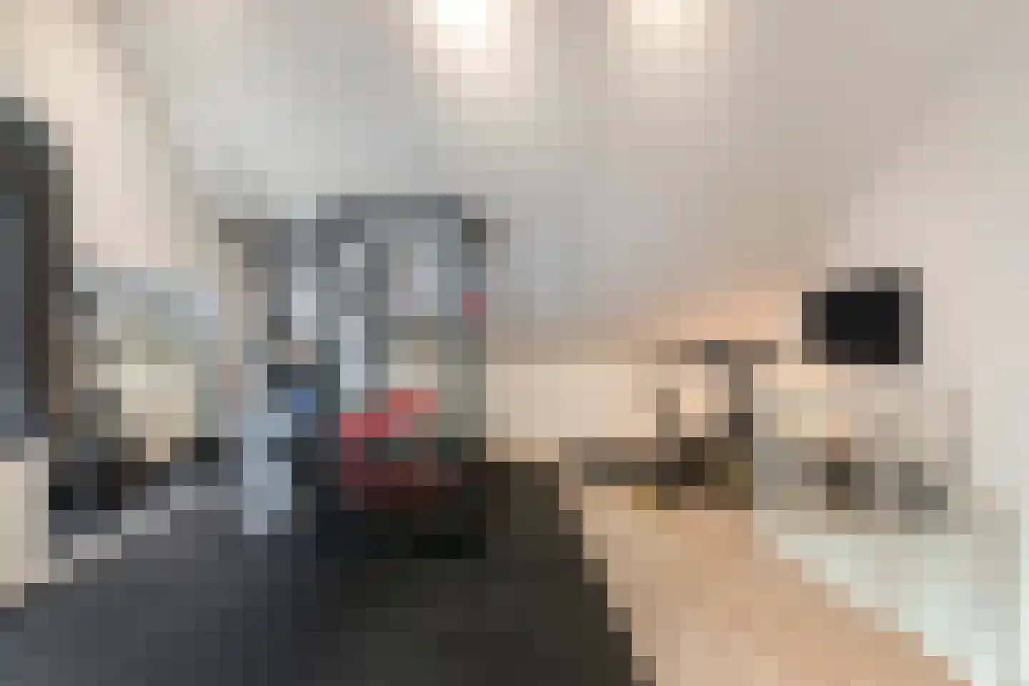 Waterput 27 Cuijk thumbnail 25