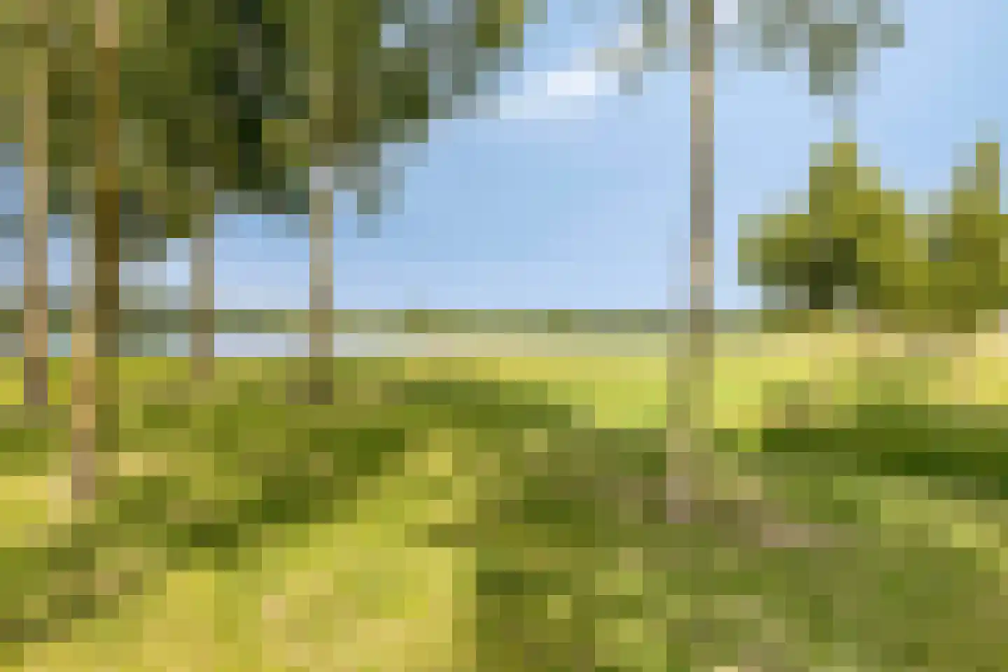 Waterput 27 Cuijk thumbnail 34