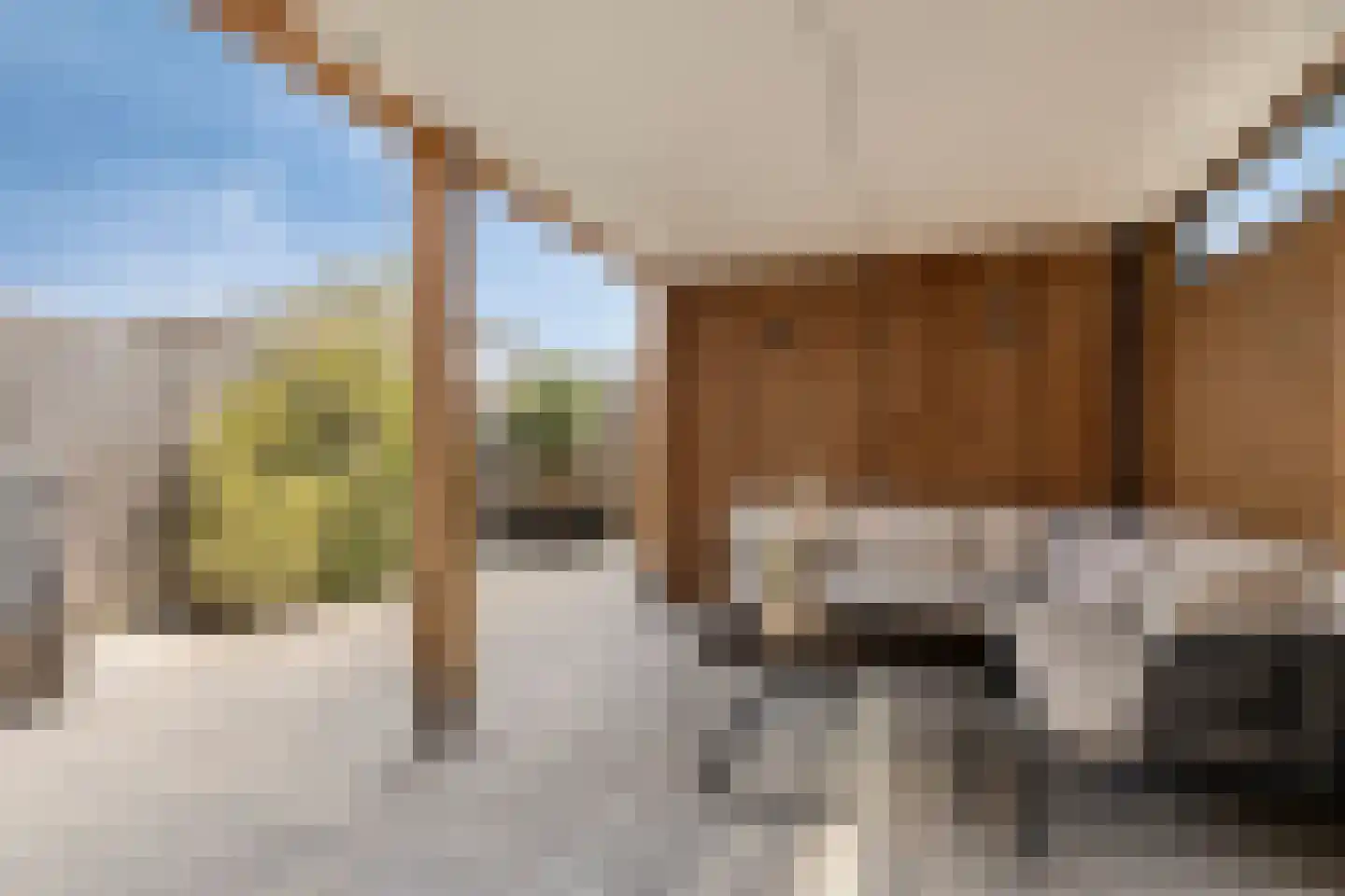 Waterput 27 Cuijk thumbnail 4
