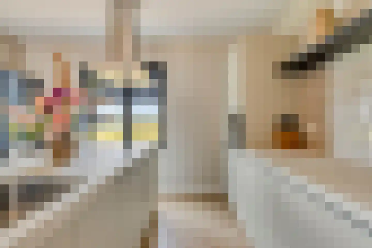 Waterput 27 Cuijk thumbnail 9