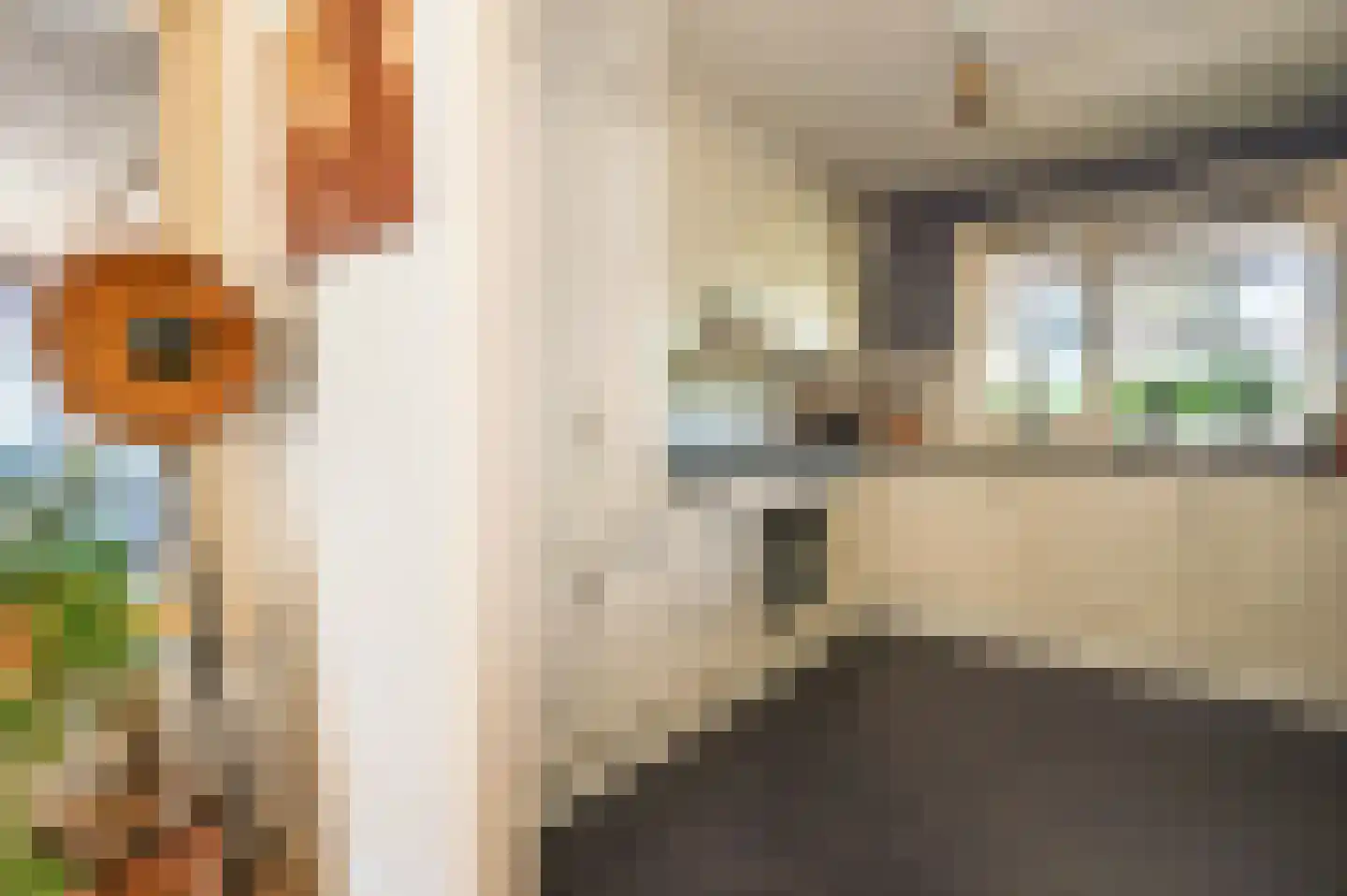 Waterput 34 Oostzaan thumbnail 16