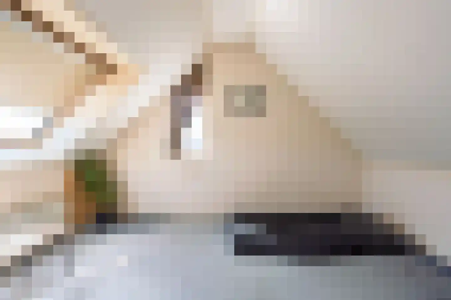 Waterput 34 Oostzaan thumbnail 31