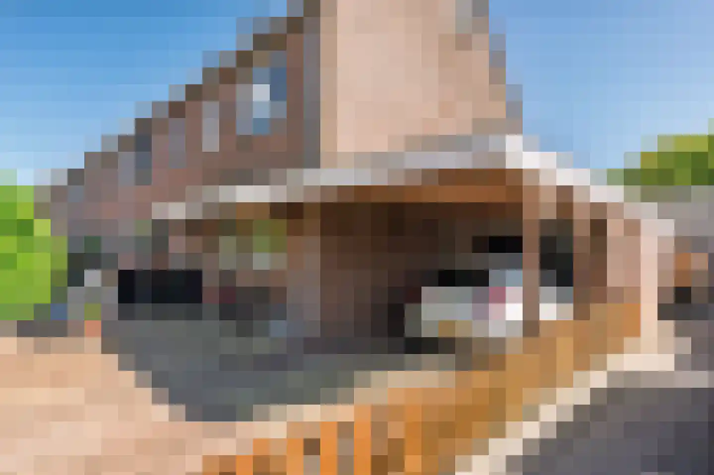 Waterput 34 Oostzaan thumbnail 35