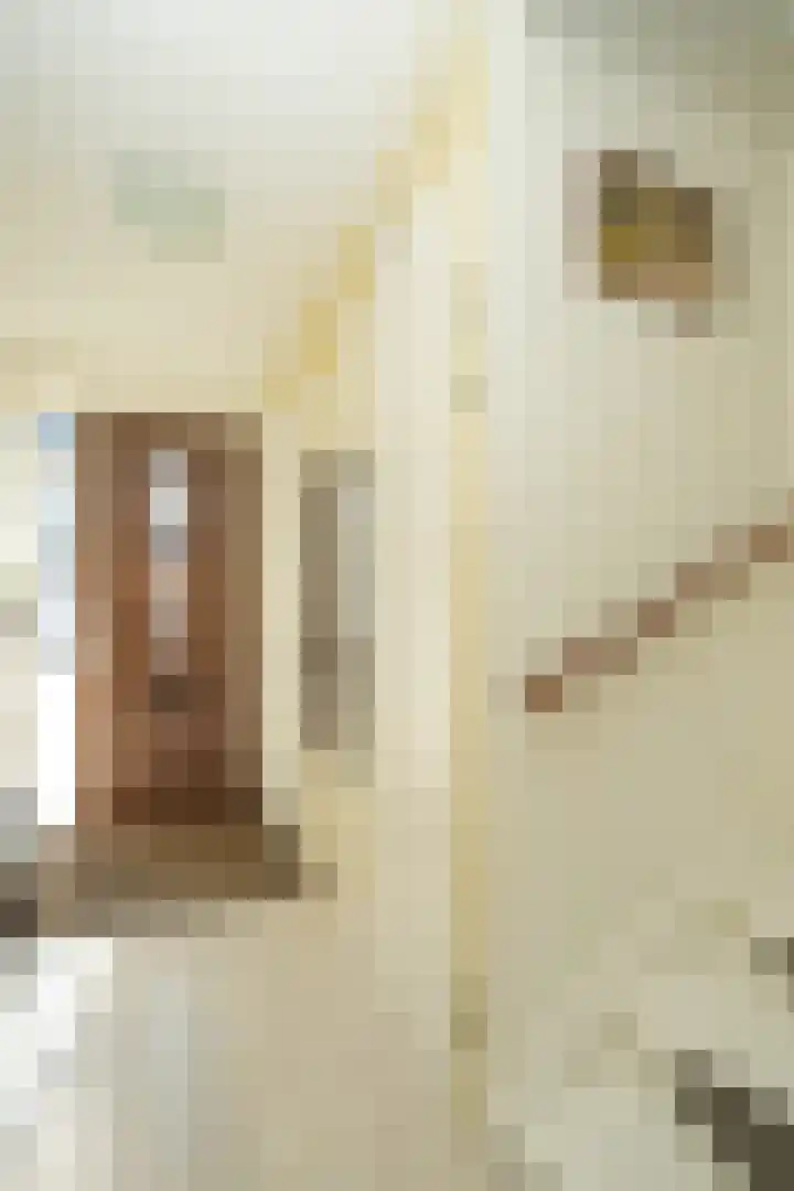 Waterput 35 Cuijk thumbnail 15