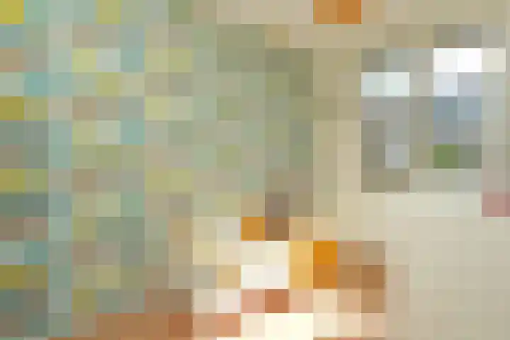 Waterput 35 Cuijk thumbnail 17