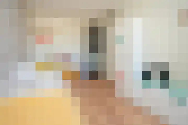 Waterput 35 Cuijk thumbnail 22