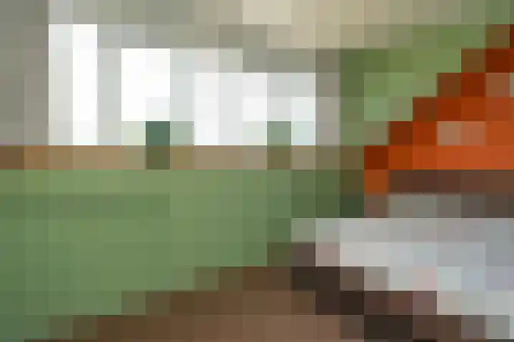 Waterput 35 Cuijk thumbnail 33