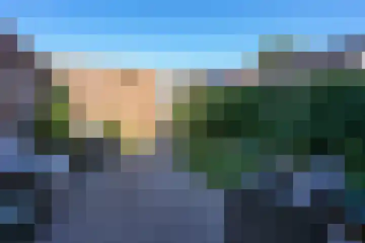 Waterput 35 Cuijk thumbnail 36