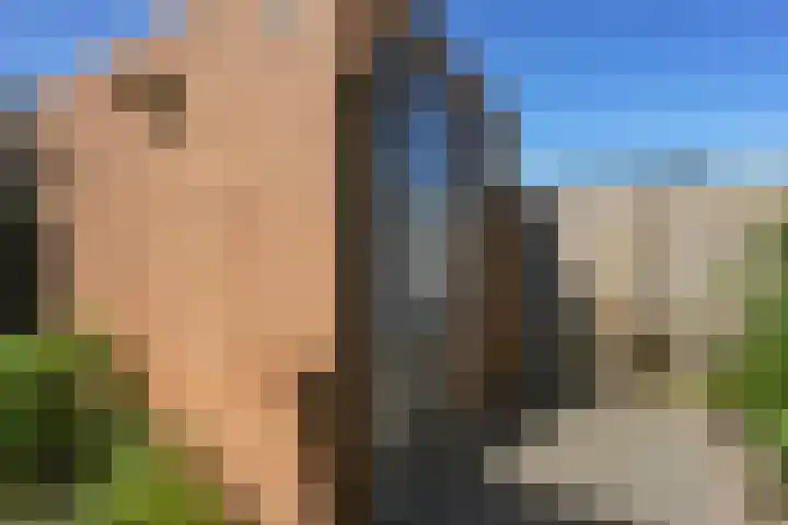 Waterput 35 Cuijk thumbnail 38