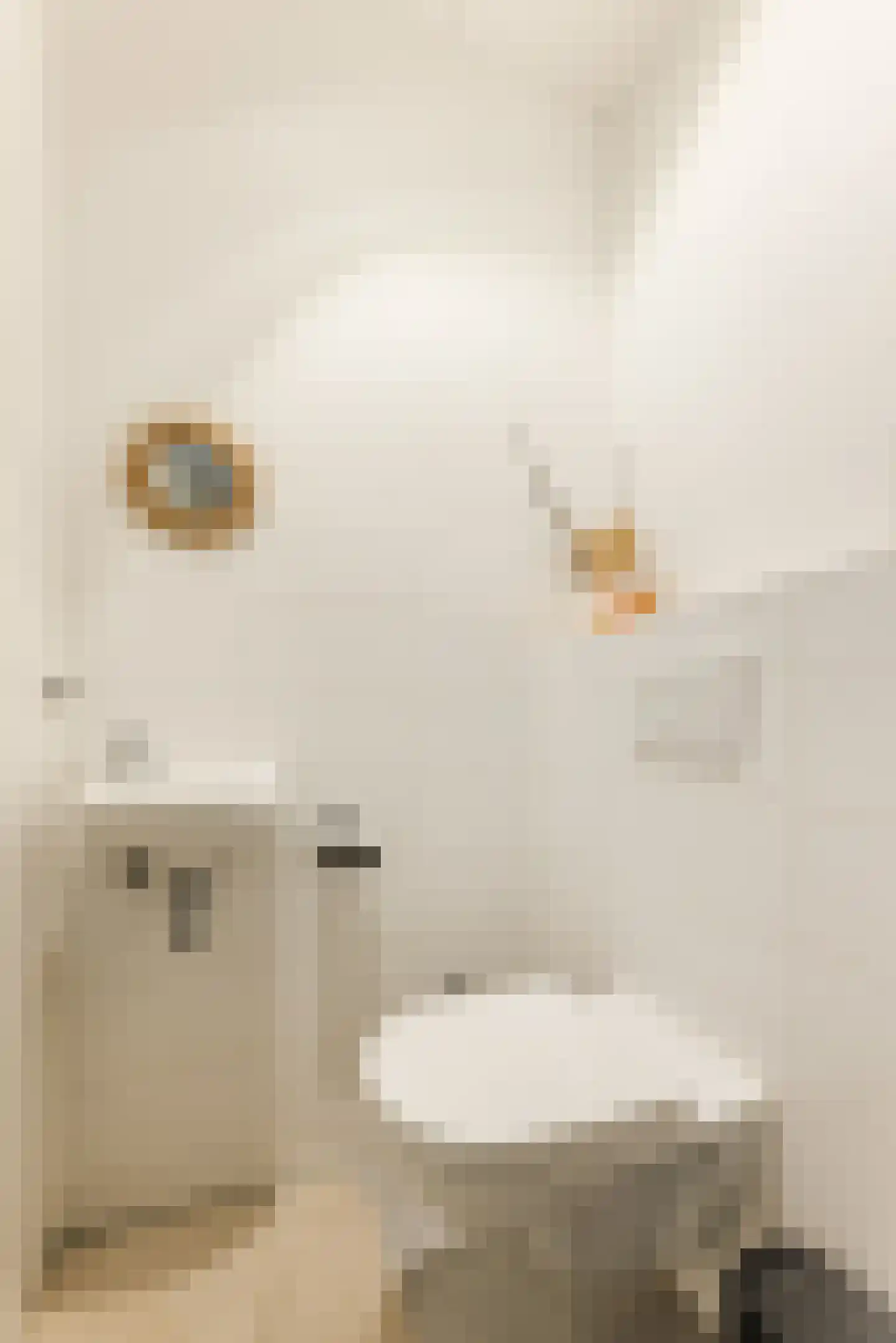 Waterput 4 Cuijk thumbnail 12