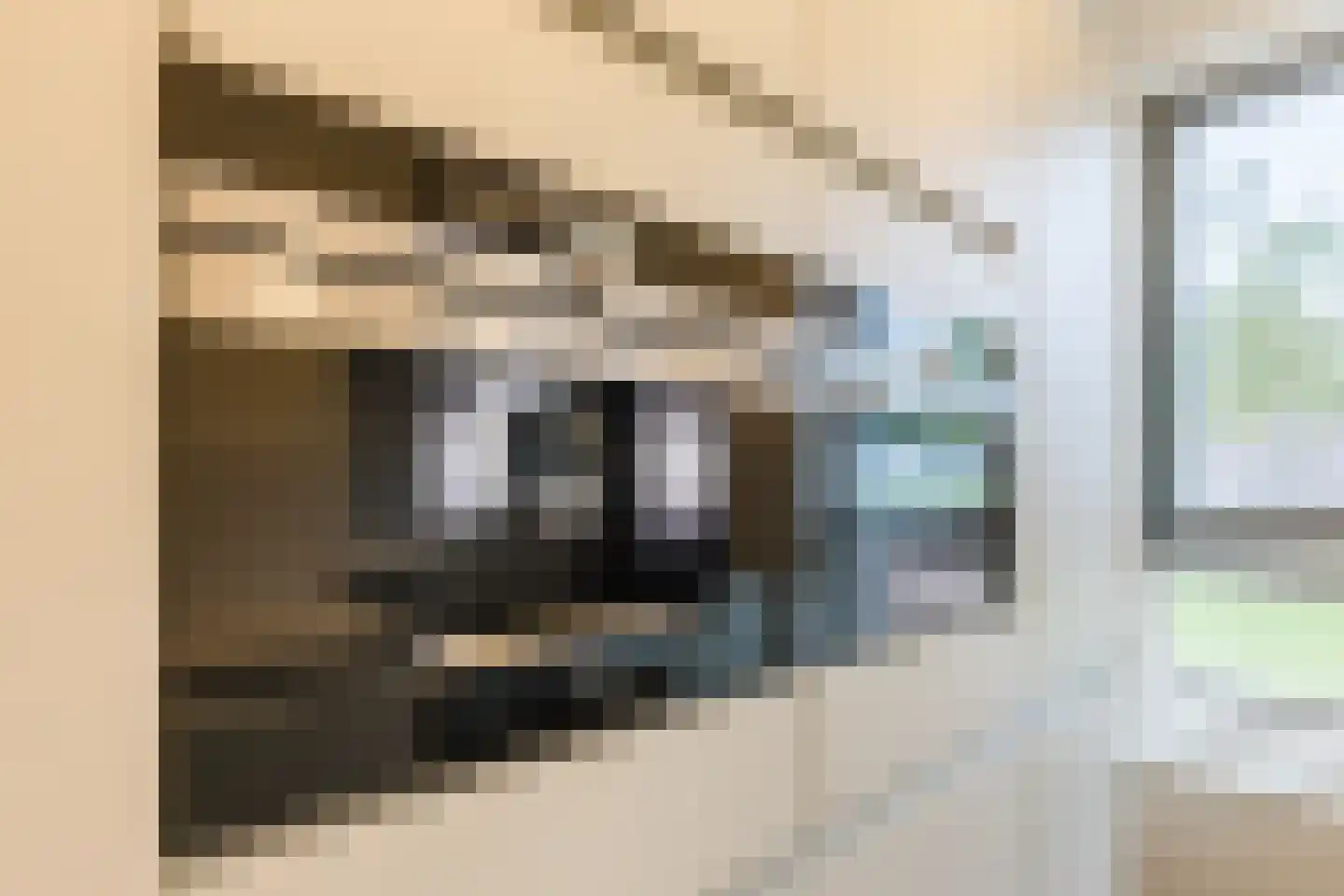 Waterput 4 Cuijk thumbnail 9