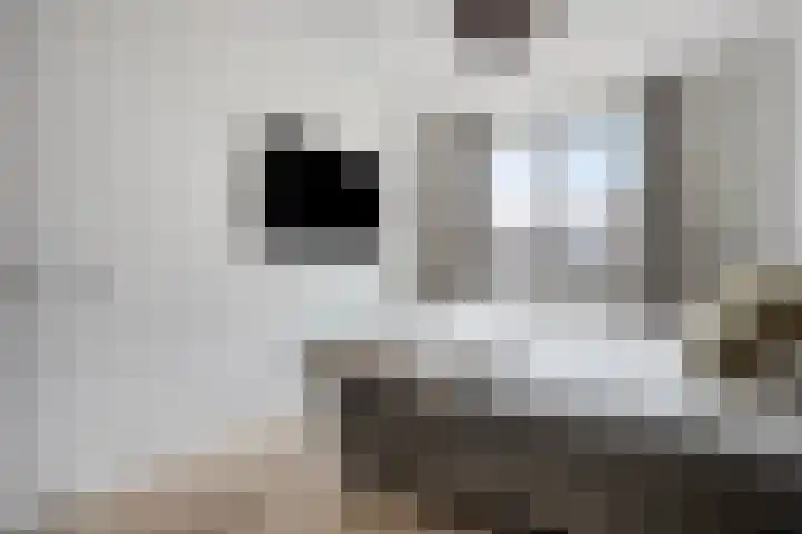 Waterput 42 Cuijk thumbnail 17