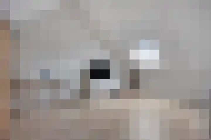 Waterput 42 Cuijk thumbnail 25