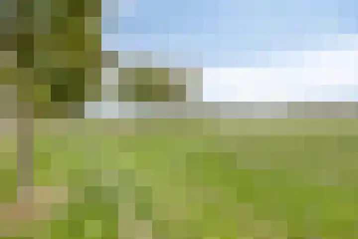 Waterput 42 Cuijk thumbnail 30