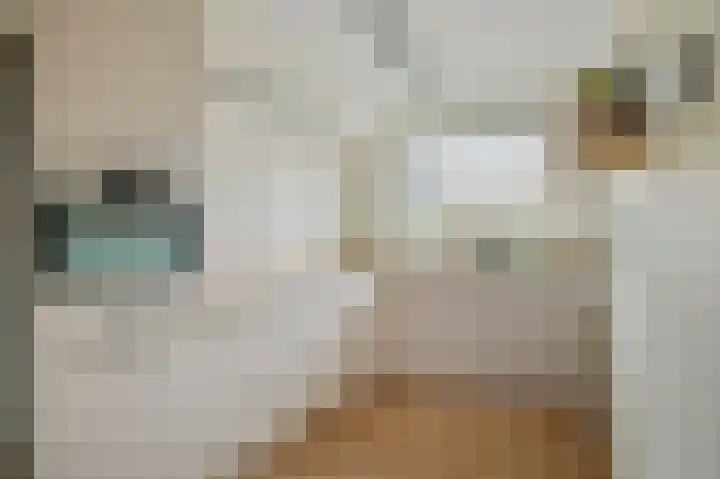 Waterput 46 Oostzaan thumbnail 11