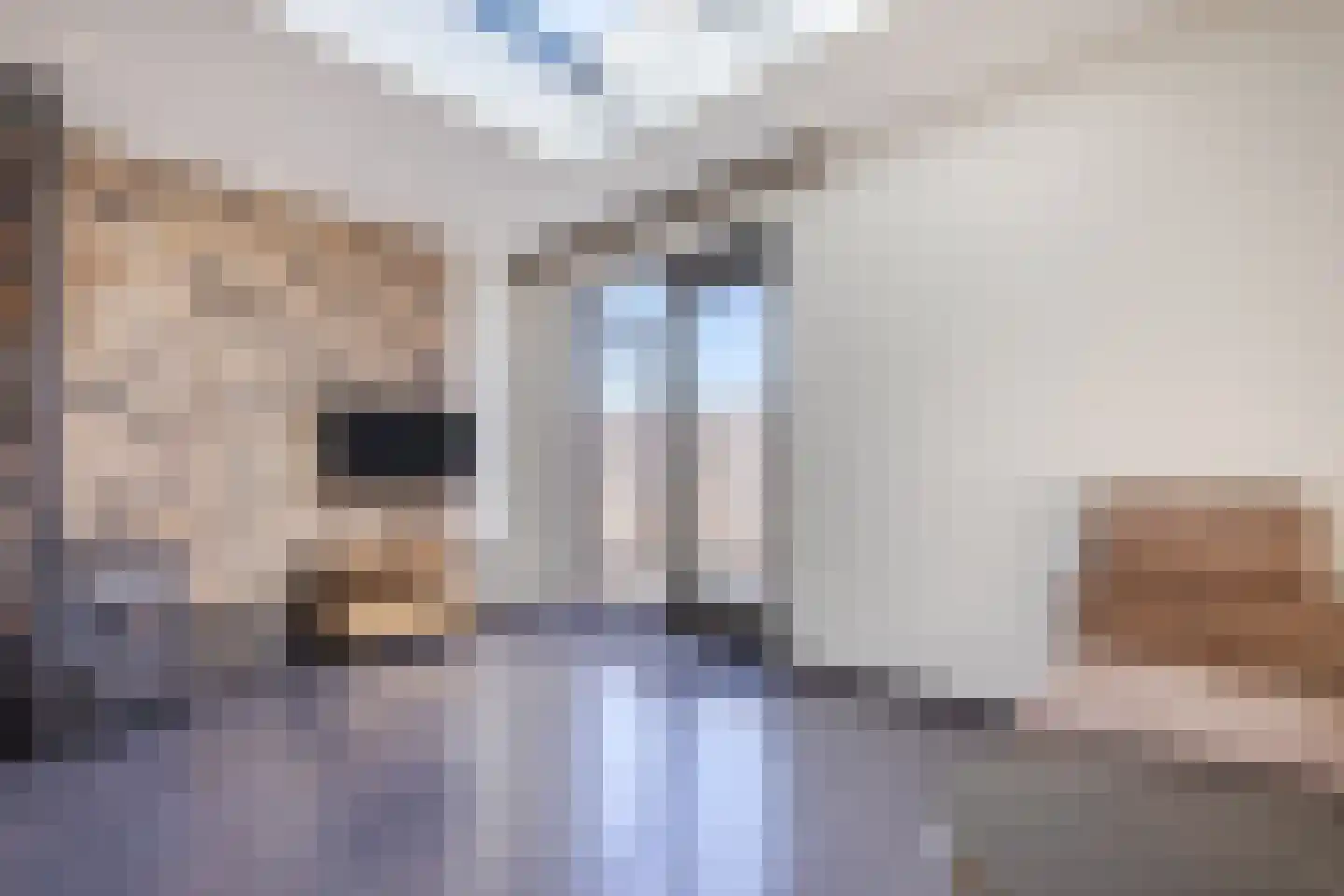 Waterput 52 Cuijk thumbnail 20