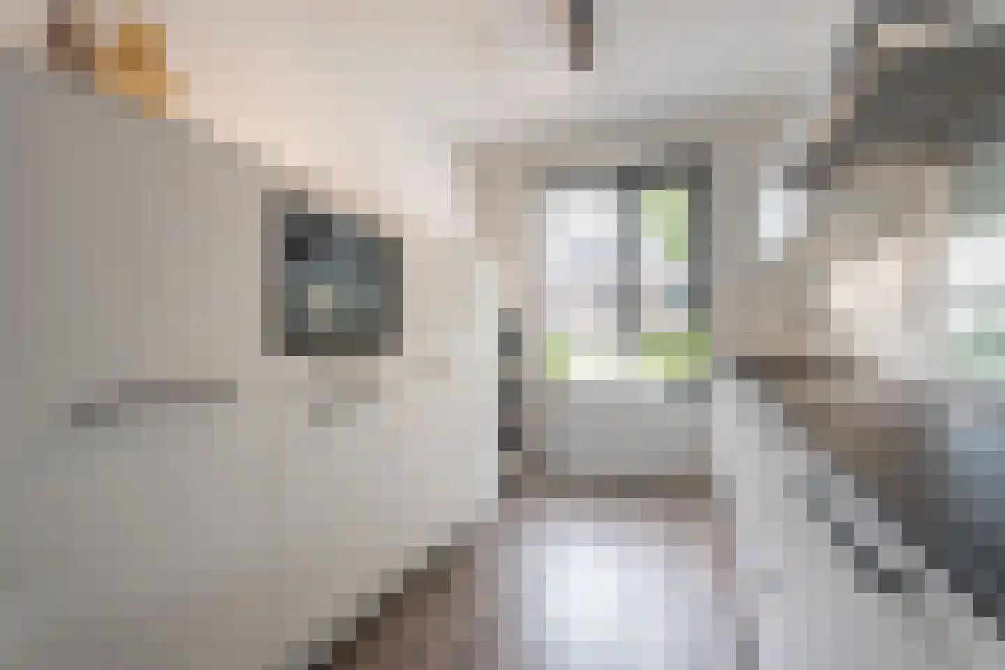 Waterput 56 Cuijk thumbnail 10