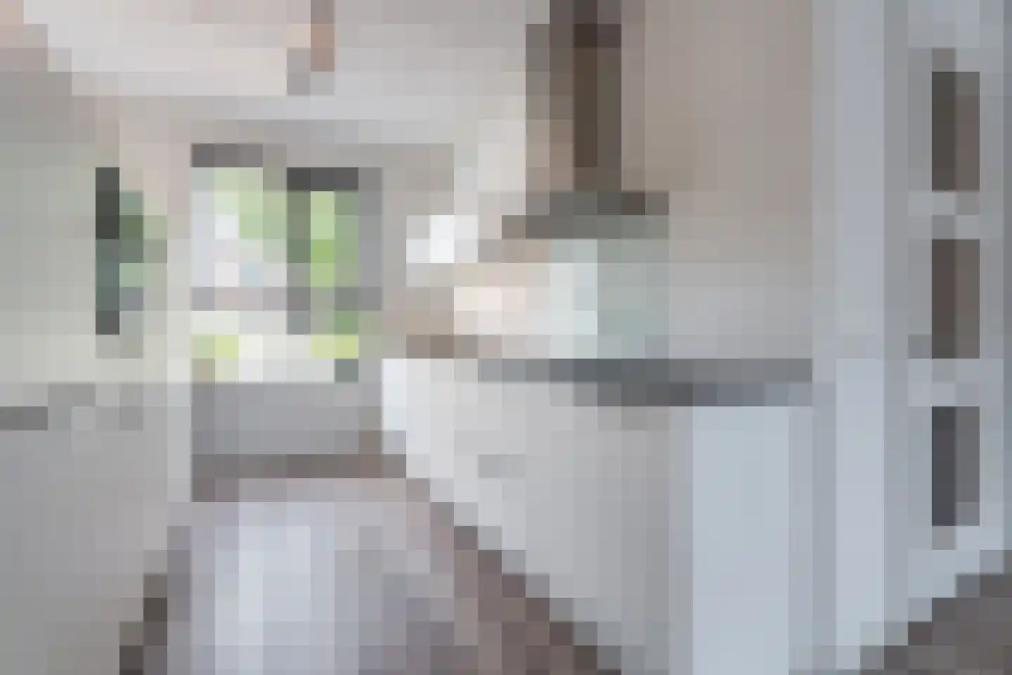 Waterput 56 Cuijk thumbnail 9