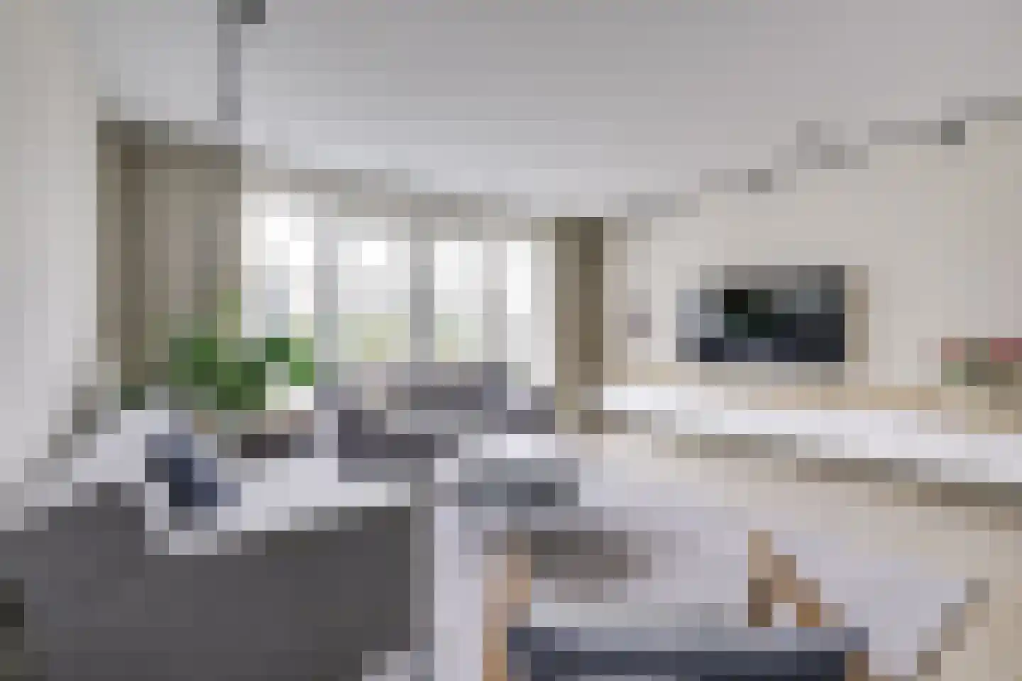 Waterputhof 12 Hoef en Haag thumbnail 22