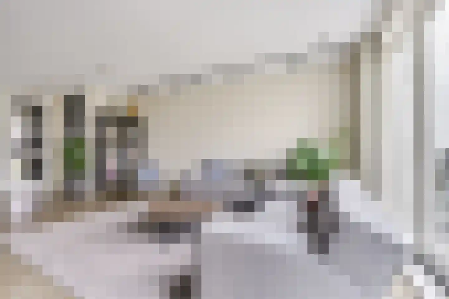 Waterputhof 12 Hoef en Haag thumbnail 28