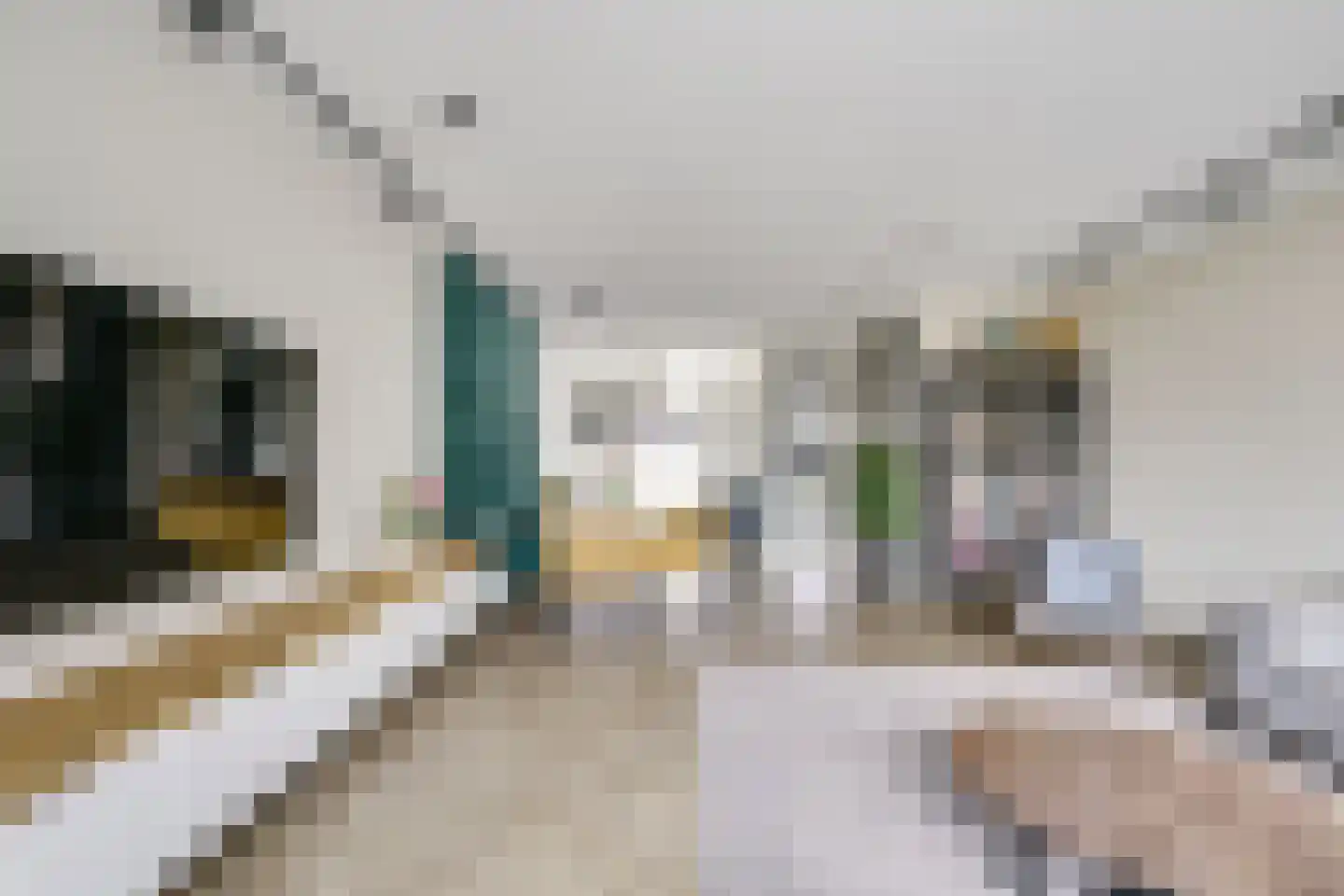 Waterputhof 12 Hoef en Haag thumbnail 30