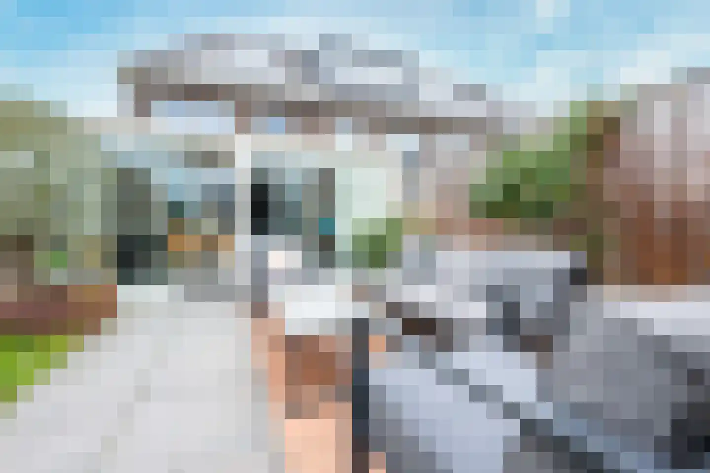 Waterputhof 12 Hoef en Haag thumbnail 39