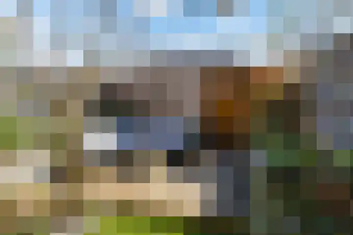 Waterrad 24 Eerbeek thumbnail 4