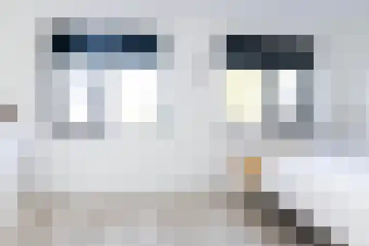 Waterrad 33 Eerbeek thumbnail 21