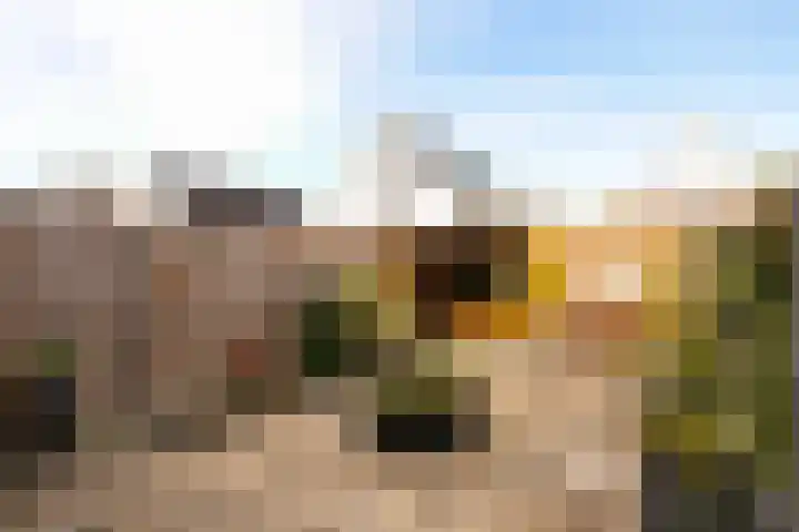 Waterrad 33 Eerbeek thumbnail 28