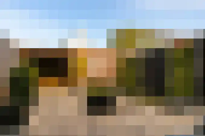 Waterrad 33 Eerbeek thumbnail 30