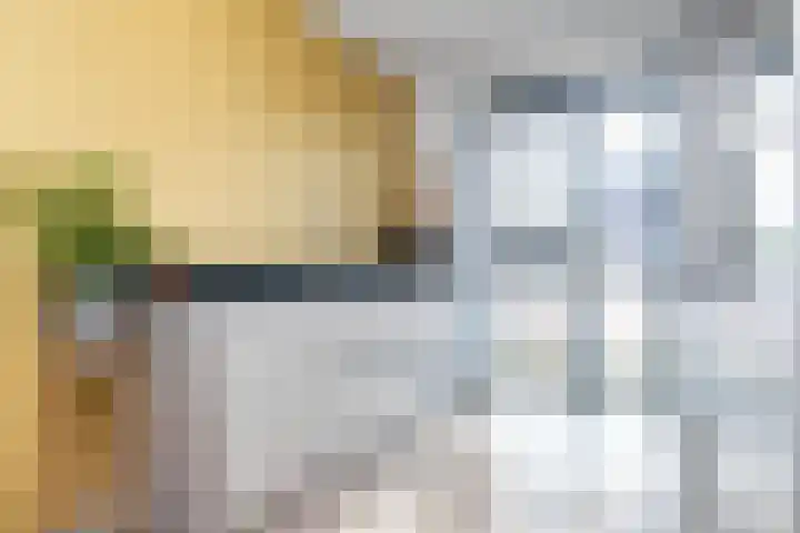 Waterrad 33 Eerbeek thumbnail 8