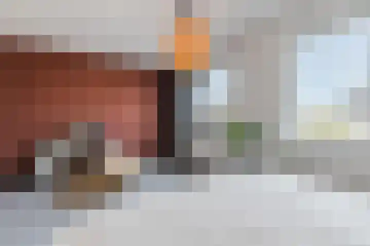 Waterrad 7 Eerbeek thumbnail 29