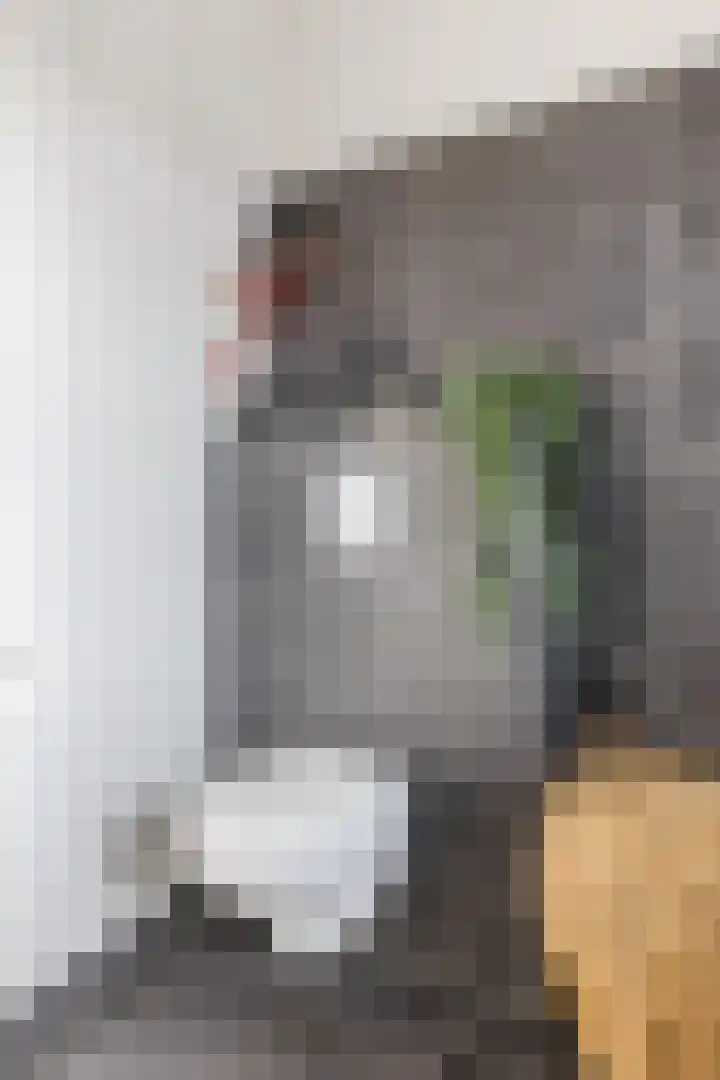 Waterrad 7 Eerbeek thumbnail 35