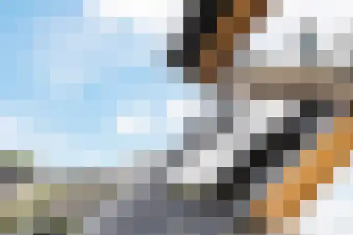 Waterrad 7 Eerbeek thumbnail 37