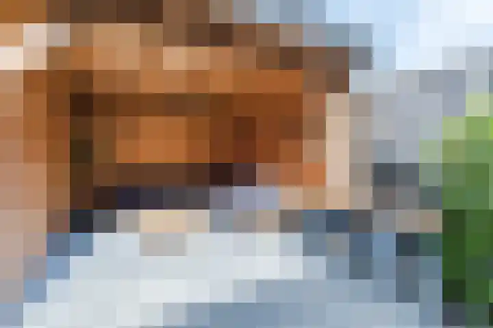 Waterrad 7 Eerbeek thumbnail 47