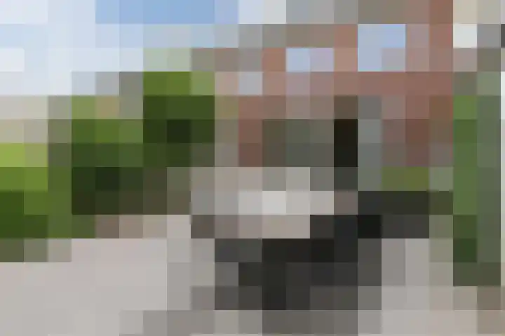 Waterrad 7 Eerbeek thumbnail 6