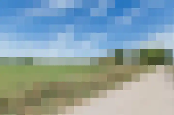 Waterrad 7 Eerbeek thumbnail 61