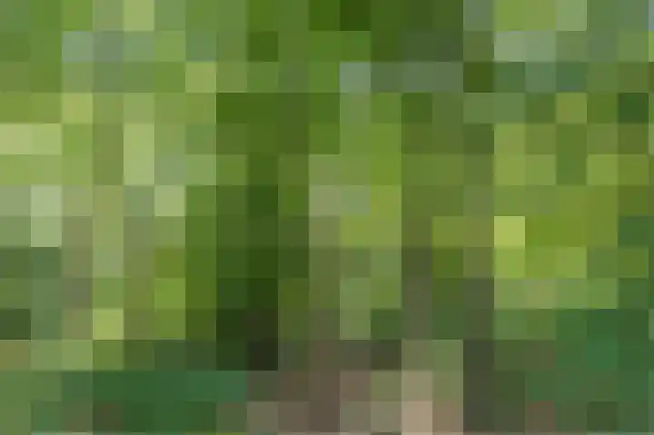 Waterrad 7 Eerbeek thumbnail 65