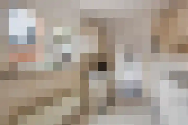 Waterrad 82 Grootebroek thumbnail 21