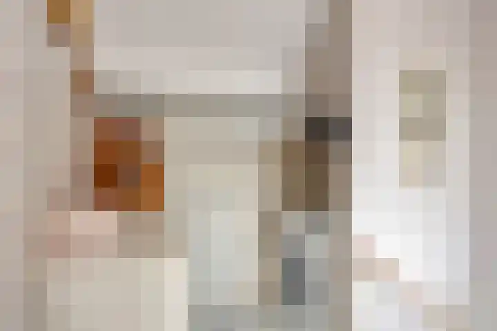 Waterrad 82 Grootebroek thumbnail 36