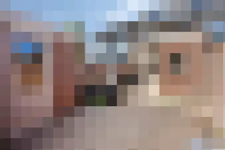 Waterrad 82 Grootebroek thumbnail 45