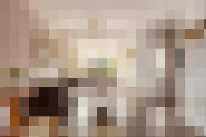 Waterrad 82 Grootebroek thumbnail 9
