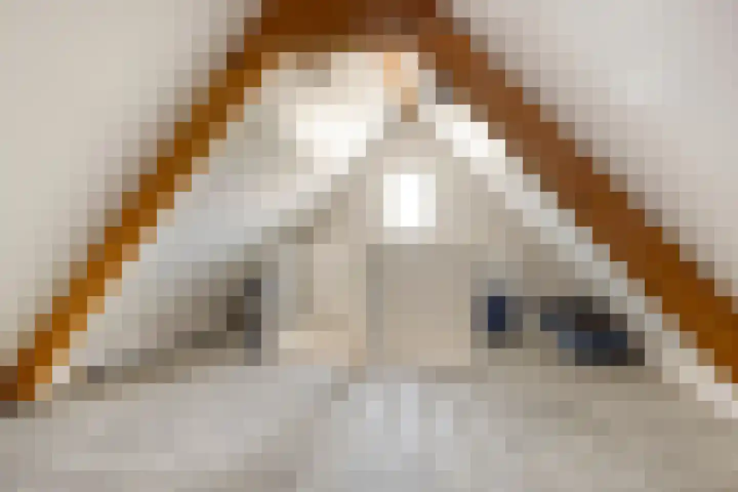 Waterradmolen 1 de Lutte thumbnail 24