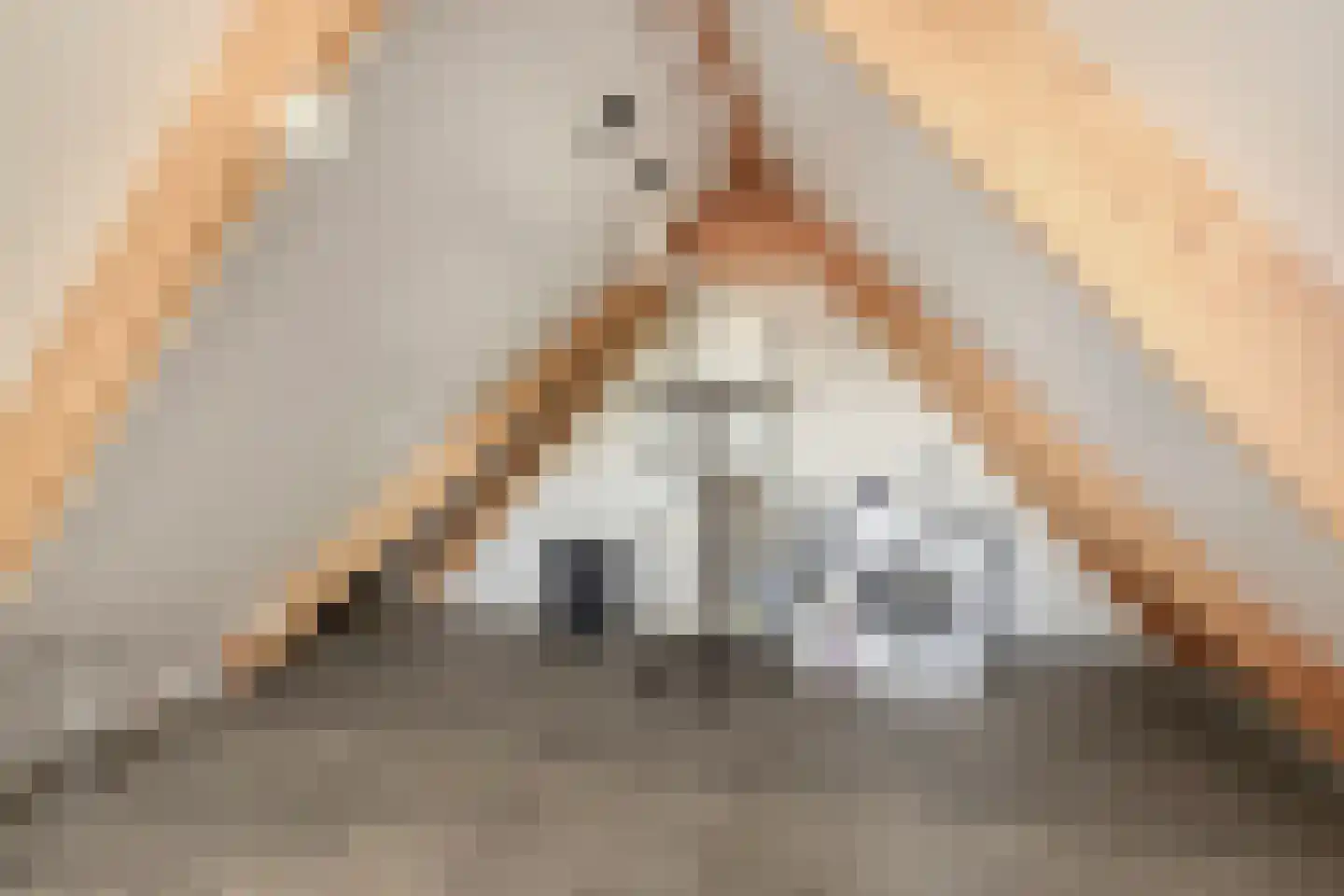 Waterradmolen 1 de Lutte thumbnail 25