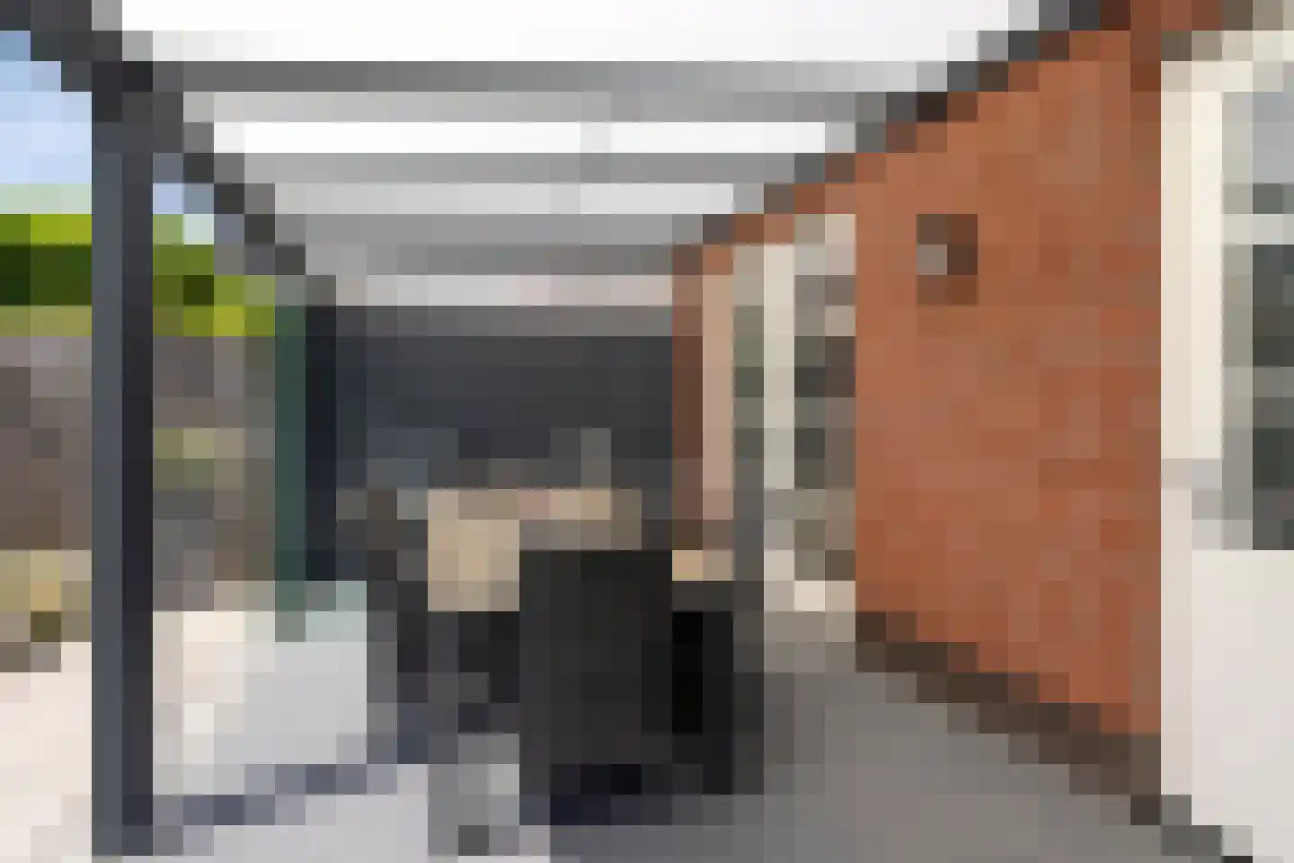 Waterradmolen 1 de Lutte thumbnail 29