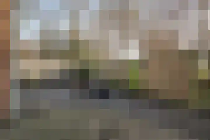 Waterradmolen 10 Heerhugowaard thumbnail 18